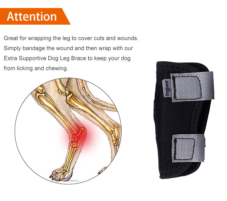 Dog leg brace with anatomical illustration of a dog's leg and bone structure.