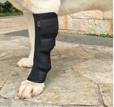 Dog's paw with a black protective sleeve on a stone pavement.